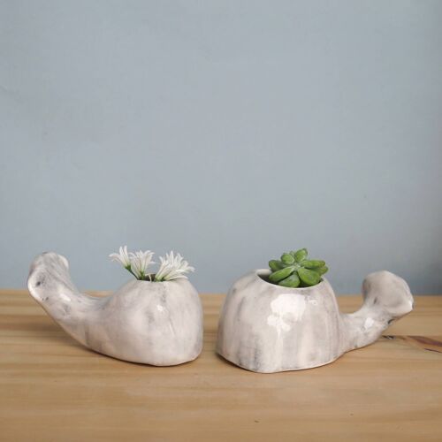 Grey Small Whale Planter