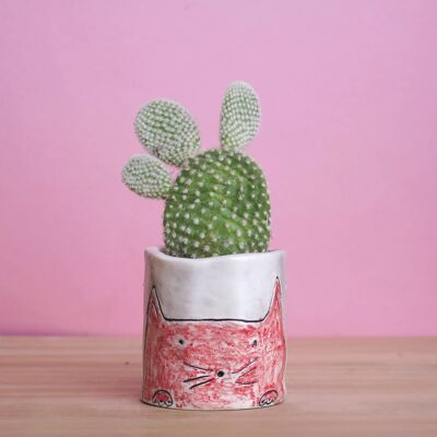 Pink Gatinha Planter