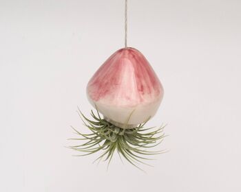 Jardinière suspendue petite méduse rose 1
