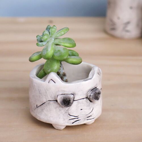 Aviator Cat Planter