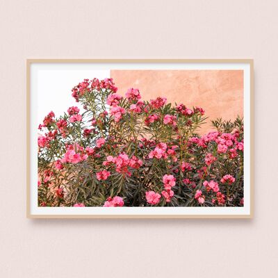 Póster / Fotografía - Jardín de las Tumbas Saadíes | Marrakech Marruecos 30x40cm