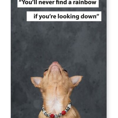 Vous ne trouverez jamais un arc-en-ciel si vous regardez vers le bas, Chihuahua - impression A3