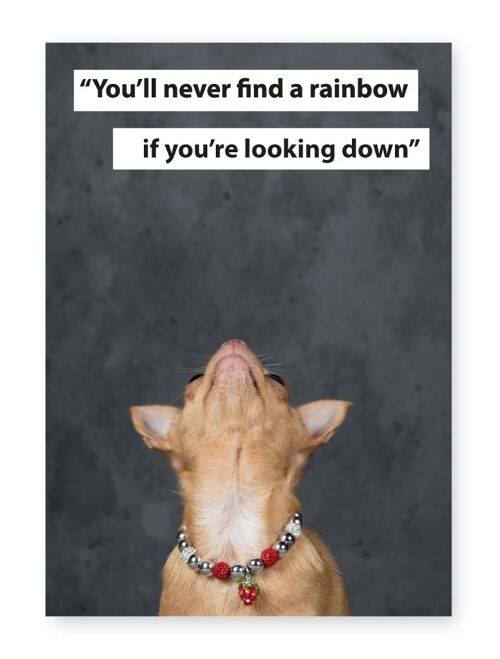 You'll Never Find A Rainbow If You're Looking Down, Chihuahua - A4 Print