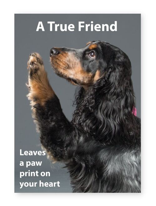 A True Friend Leaves A Paw Print On your Heart - A3 Print