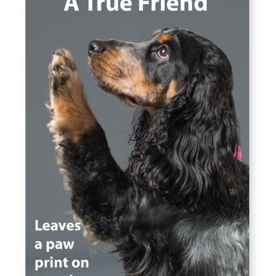 A True Friend Leaves A Paw Print On your Heart - A3 Print