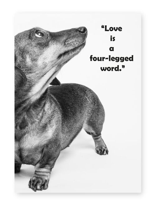 Love Is A Four Legged Word - A4 Print
