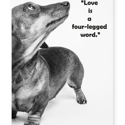 Love Is A Four Legged Word - A3 Print