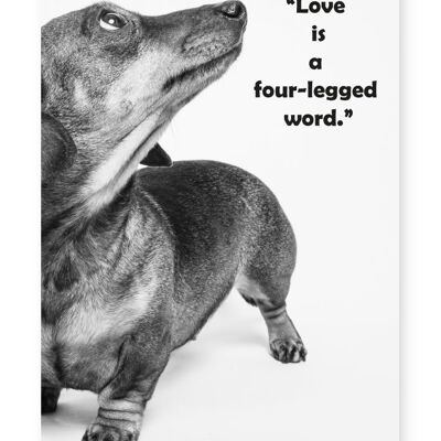 Love Is A Four Legged Word - A3 Print
