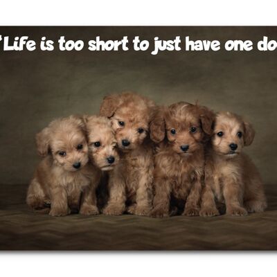 La vida es demasiado corta para tener un solo perro - Impresión A3