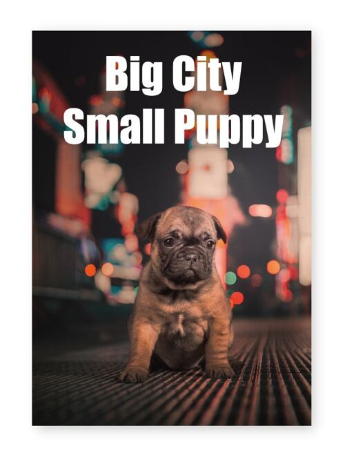 Big City Small Puppy - A4 Print