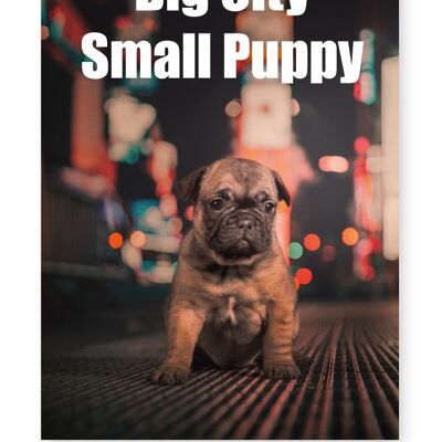 Big City Small Puppy - A4 Print