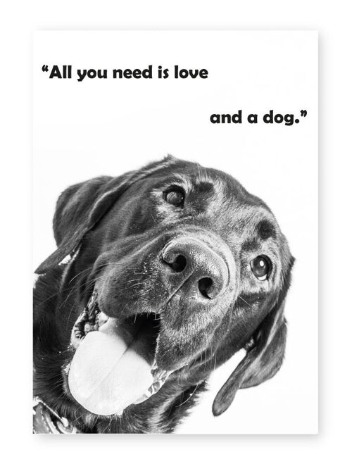 All You Need Is Love and a Dog - A3 Print