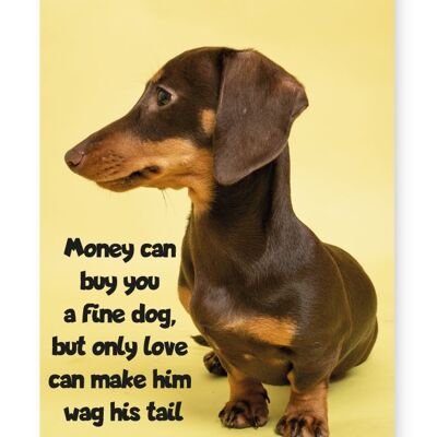 El dinero puede comprarle un buen perro - Impresión A4