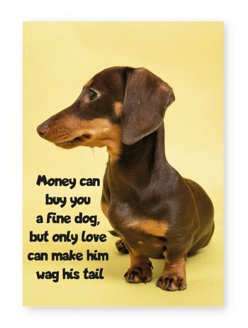 L'argent peut vous acheter un beau chien - impression A4 1