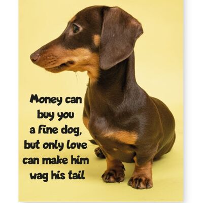 Il denaro può comprarti un bel cane - Stampa A3