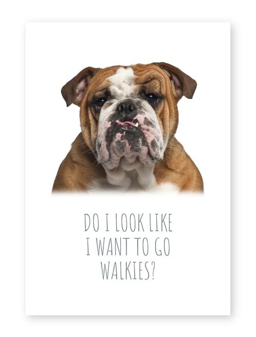 Walkies - A4 Print