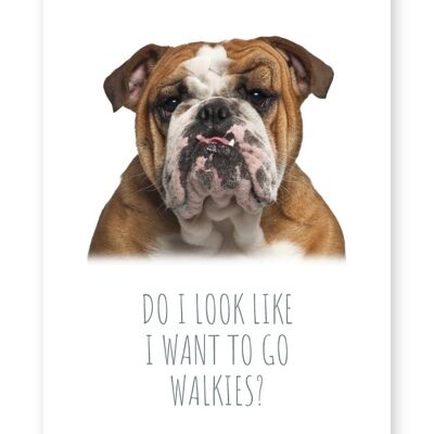Walkies - A4 Print