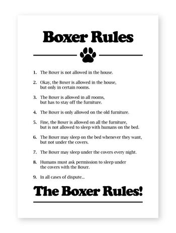 Règles de chien Boxer - impression A4 1