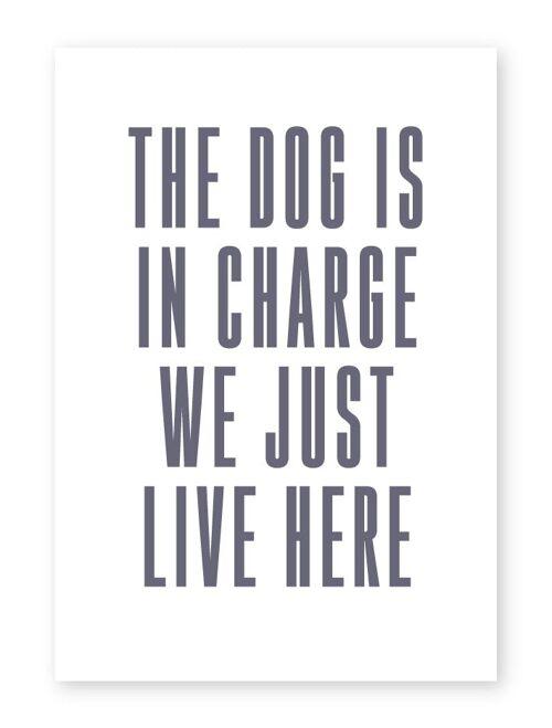 The Dog Is In Charge - A3 Print