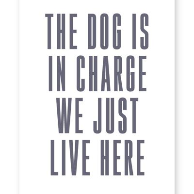 The Dog Is In Charge - A3 Print