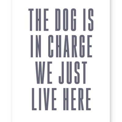 The Dog Is In Charge - A4 Print