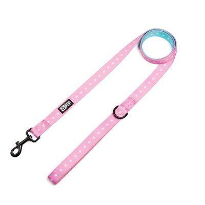 Puppy Love (Pink/Blue) Leash