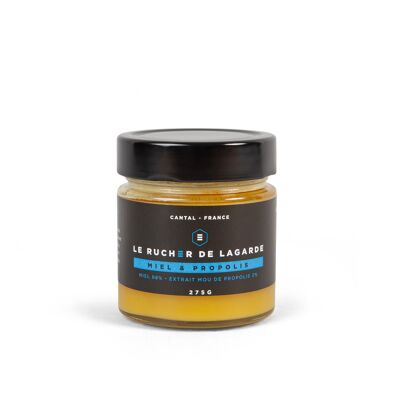 Honig und weicher Extrakt aus Propolis 2 %. Hergestellt vom Imker in Cantal, Frankreich