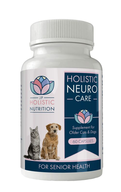 Neuro Care for Senior Cats & Dogs