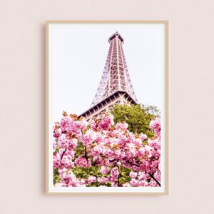 Photographie - Printemps Parisien | Paris, France