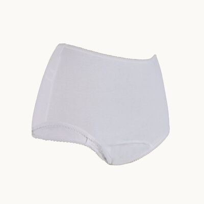 Ladies Daytime Brief with Built In Absorbent Pad Reusable (100ml) VAT Relief
