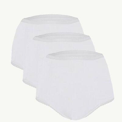 PACK OF 3 Ladies Full Brief with Built In Absorbent Pad Reusable (400ml) VAT Relief