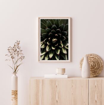 Affiche / Photographie - Succulente 30x40cm 2