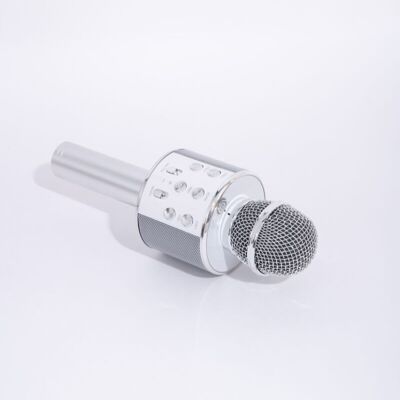 Karaoke microphone speaker