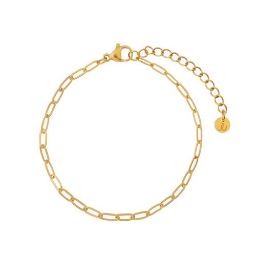 Anklet basic links - gold