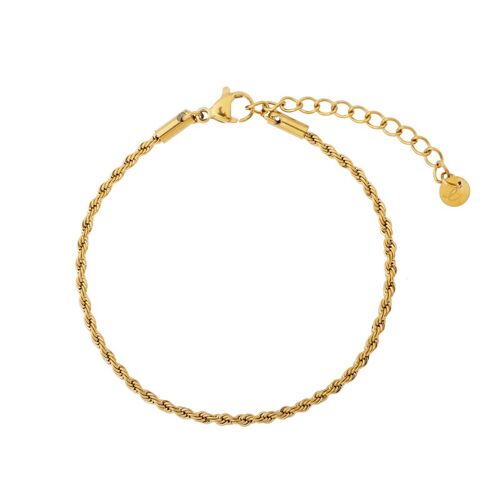 Anklet basic twisted - gold