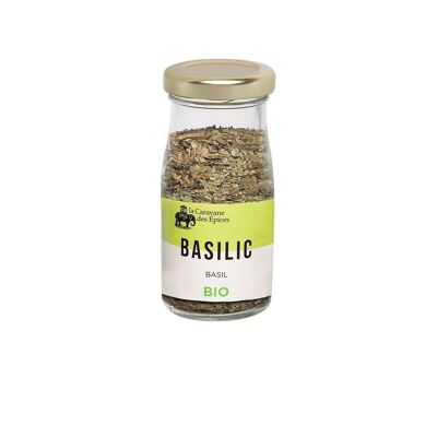 ORGANIC Basil 15 g