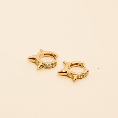 Leo earrings