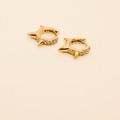 Leo earrings