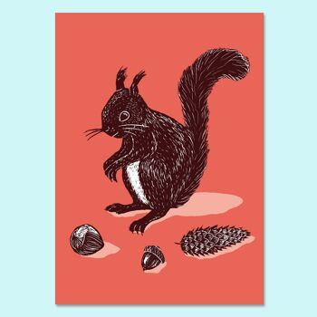 affiche | écureuil 2