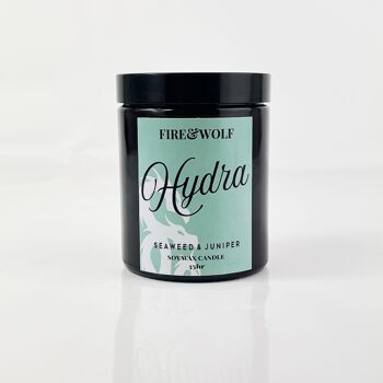 Bougie Hydra | Algues & Genévrier 1