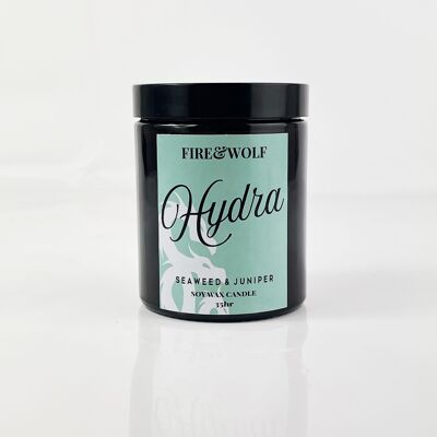 Bougie Hydra | Algues & Genévrier