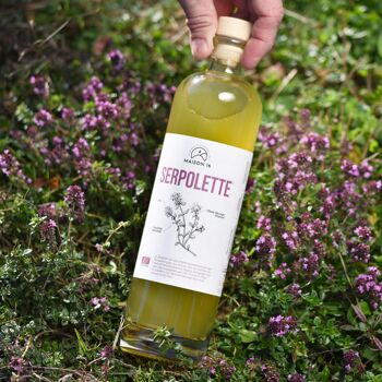 SERPOLETTE bio en cocktail ou digestif - 50 cl + étui - Liqueur de plantes thym sauvage 2