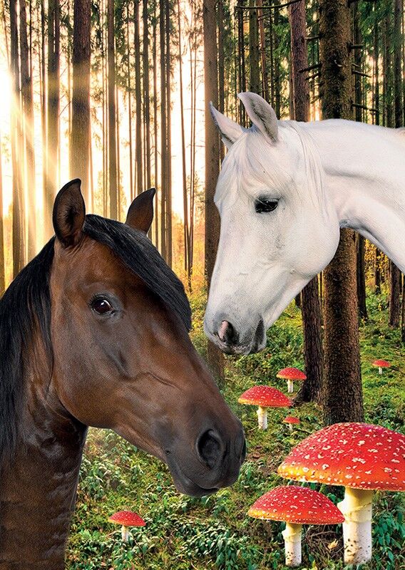 Cartolina Cavallo marrone e bianco, 10 pezzi