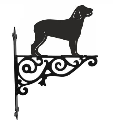 Soporte colgante ornamental de perro de agua español