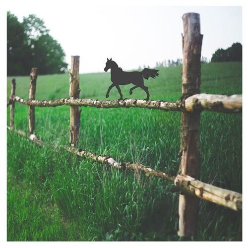 Arabian Horse Fence Topper