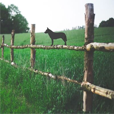 Australian Cattle Dog Fence Topper