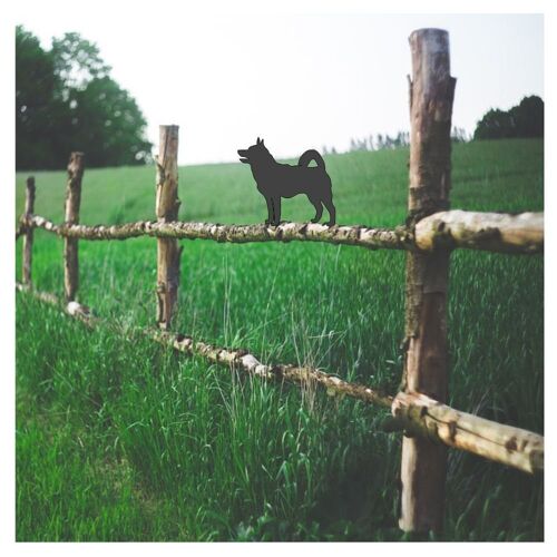 Norwegian Elkhound Fence Topper