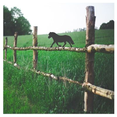 Topper de clôture de poney