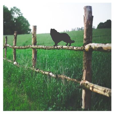 Rough Collie Fence Topper