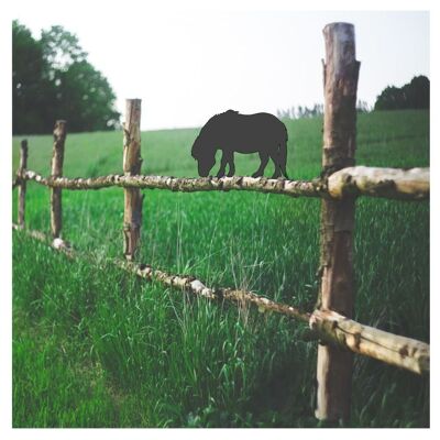 Shetland Pony Fence Topper